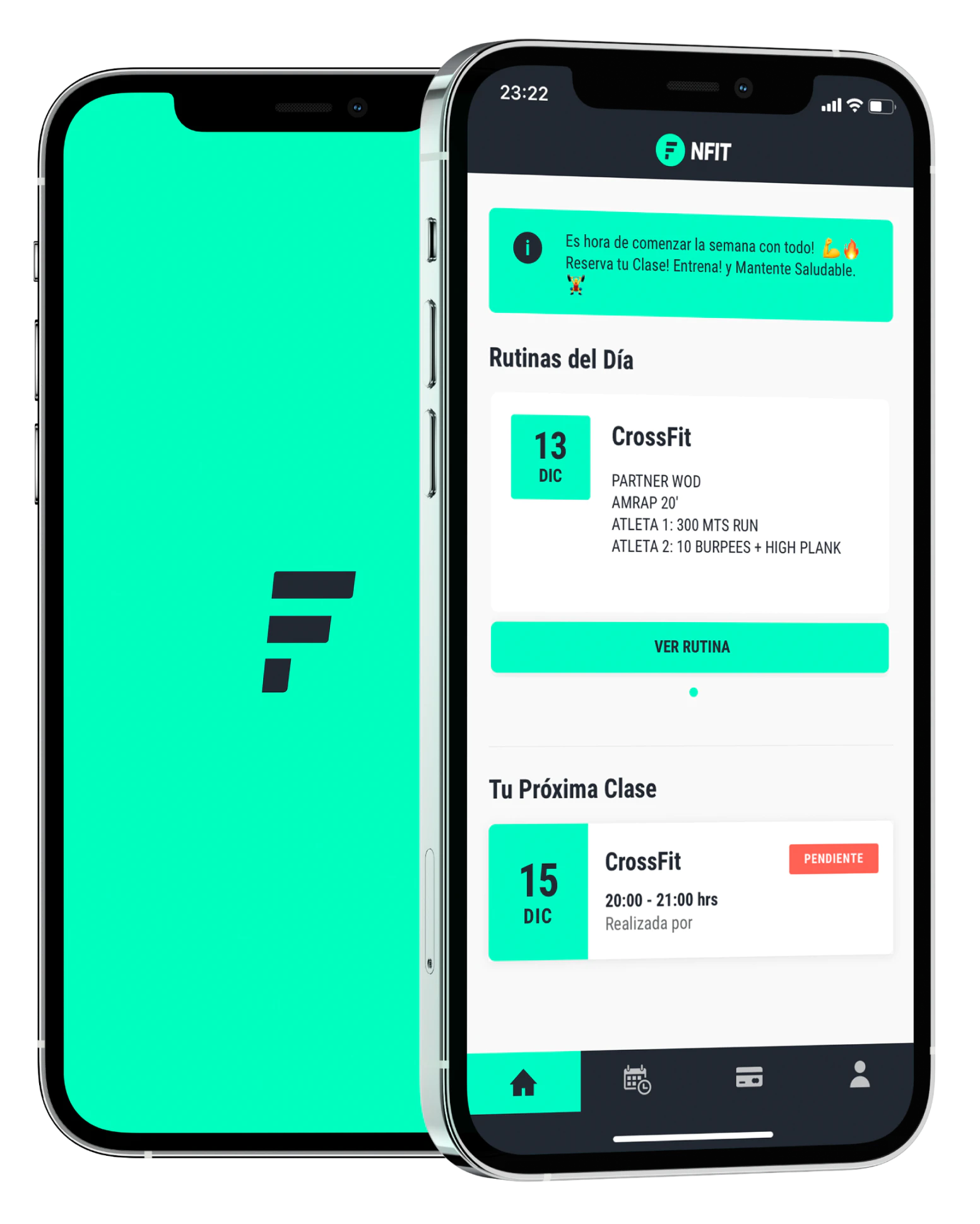 Vista referencial de la App de NFIT